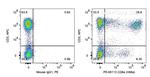 CD8a Antibody in Flow Cytometry (Flow)