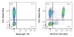 CD4 Antibody in Flow Cytometry (Flow)