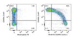 CD45RO Antibody in Flow Cytometry (Flow)
