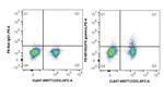 IFN gamma Antibody in Flow Cytometry (Flow)