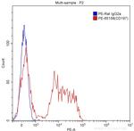 CD197 Antibody in Flow Cytometry (Flow)
