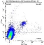 CD163 Antibody in Flow Cytometry (Flow)