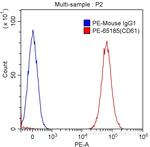 CD61 Antibody in Flow Cytometry (Flow)