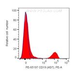 CD19 Antibody in Flow Cytometry (Flow)