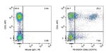 CD8 Antibody in Flow Cytometry (Flow)
