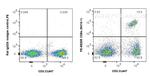 CD8a Antibody in Flow Cytometry (Flow)