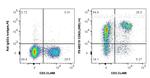 CD62L Antibody in Flow Cytometry (Flow)