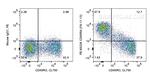 CD45RA Antibody in Flow Cytometry (Flow)