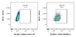 CD324 (E-cadherin) Antibody in Flow Cytometry (Flow)