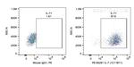 IL-7 Antibody in Flow Cytometry (Flow)