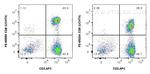 CD8 Antibody in Flow Cytometry (Flow)