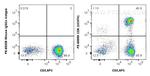 CD8 Antibody in Flow Cytometry (Flow)