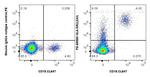 HLA-DR Antibody in Flow Cytometry (Flow)