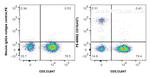 CD19 Antibody in Flow Cytometry (Flow)