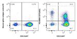 CD73 Antibody in Flow Cytometry (Flow)