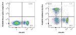 CD45RA Antibody in Flow Cytometry (Flow)