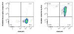 CD29 Antibody in Flow Cytometry (Flow)