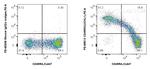 CD45RO Antibody in Flow Cytometry (Flow)