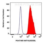 NAT10 Antibody in Flow Cytometry (Flow)