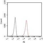 PECAM1 Antibody in Flow Cytometry (Flow)