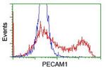PECAM1 Antibody in Flow Cytometry (Flow)