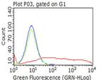 PECAM1 Antibody in Flow Cytometry (Flow)