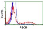 PECR Antibody in Flow Cytometry (Flow)