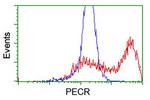 PECR Antibody in Flow Cytometry (Flow)