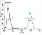 PENK Antibody in Flow Cytometry (Flow)