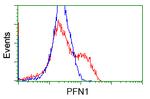 PFN1 Antibody in Flow Cytometry (Flow)