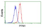 PFN1 Antibody in Flow Cytometry (Flow)