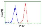PFN1 Antibody in Flow Cytometry (Flow)
