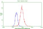 PGR Antibody in Flow Cytometry (Flow)