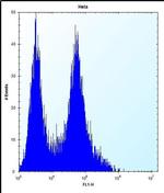Prohibitin Antibody in Flow Cytometry (Flow)