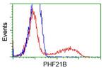 PHF21B Antibody in Flow Cytometry (Flow)