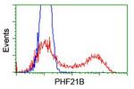 PHF21B Antibody in Flow Cytometry (Flow)