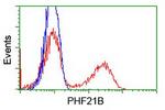 PHF21B Antibody in Flow Cytometry (Flow)