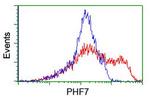 PHF7 Antibody in Flow Cytometry (Flow)