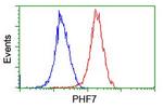 PHF7 Antibody in Flow Cytometry (Flow)