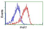PHF7 Antibody in Flow Cytometry (Flow)