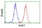PHF7 Antibody in Flow Cytometry (Flow)