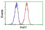 PHF7 Antibody in Flow Cytometry (Flow)