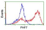 PHF7 Antibody in Flow Cytometry (Flow)