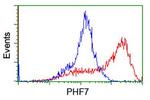 PHF7 Antibody in Flow Cytometry (Flow)