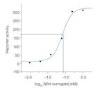 Wnt Surrogate-Fc Fusion Protein in Bioactivity (Bioactivity)