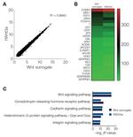 Wnt Surrogate-Fc Fusion Protein in Bioactivity (Bioactivity)