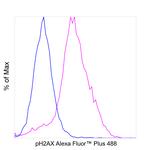 Phospho-Histone H2A.X (Ser139) Antibody in Flow Cytometry (Flow)