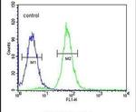 PHYH Antibody in Flow Cytometry (Flow)