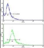 MTA2 Antibody in Flow Cytometry (Flow)