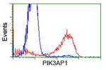 PIK3AP1 Antibody in Flow Cytometry (Flow)